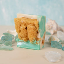 Load image into Gallery viewer, LIME IN THE COCONUT SEA SPONGE OCEAN SOAP BAR